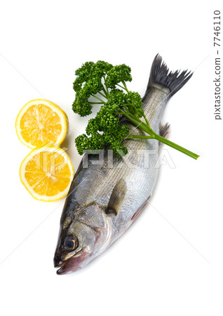 Suzuki - Lateolabrax japonicus 7746110