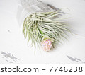 air plant, present, bouquet 7746238