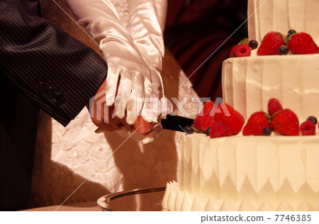 Cake cutting / wedding reception 7746385