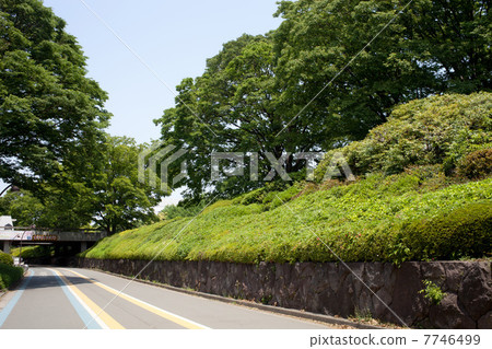 Jogging course 7746499
