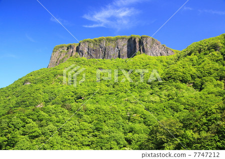 Fresh green of Arushoyama 7747212