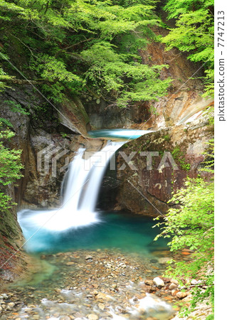 Ryujin Falls in the Nishizawa Valley 7747213