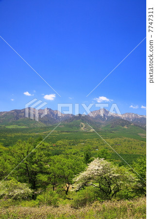 Fresh green Yatsugatake plateau 7747311