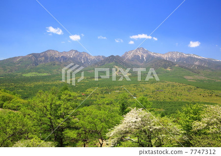 Fresh green Yatsugatake plateau 7747312