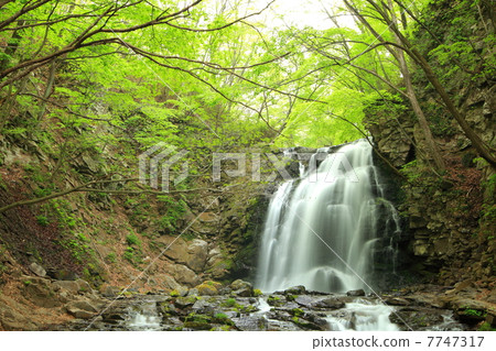 Fresh green Asama Otaki 7747317