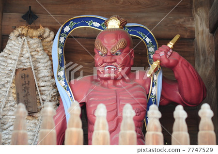 Nakayamadera Niio Acho 7747529