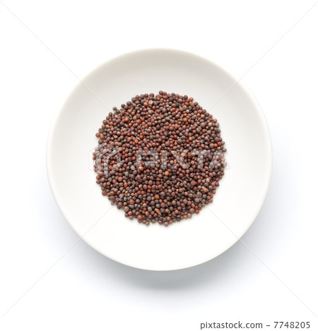 布朗芥菜籽 7748205