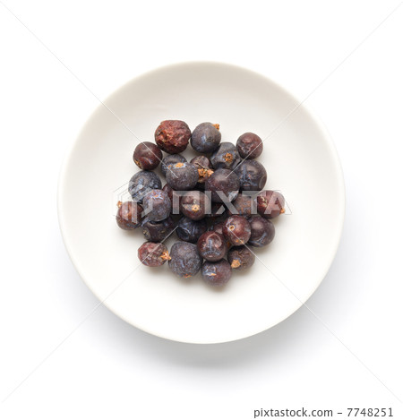 Juniper berry 7748251