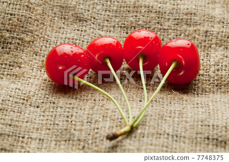 Red cherry bunch on hessian background 7748375