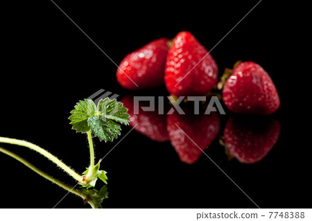 Three ripe strawberry and sprout 7748388