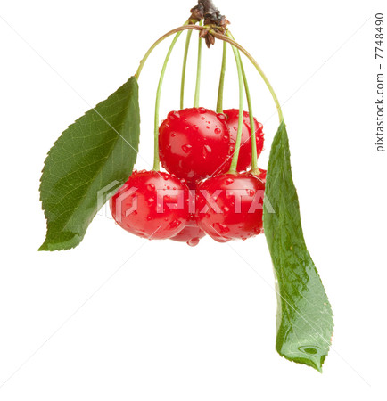 Cherry brunch 7748490