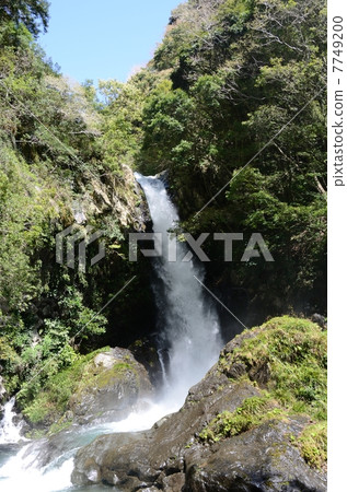 Izu · Kawazu One of the Falls of Falls · Kamaki (or still) 7749200