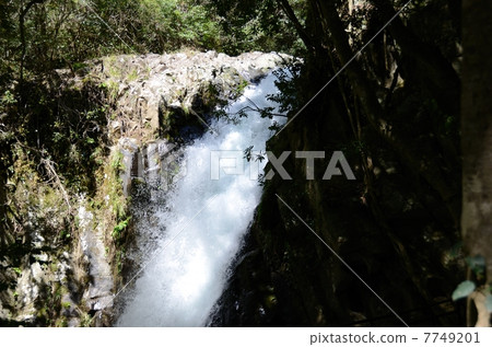 Izu · Kawazu One of the Falls of Falls · Kamaki (or still) 7749201