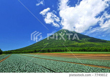 夏日的天空和羊蹄山 7749812