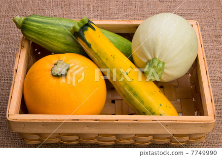 zucchini  7749990