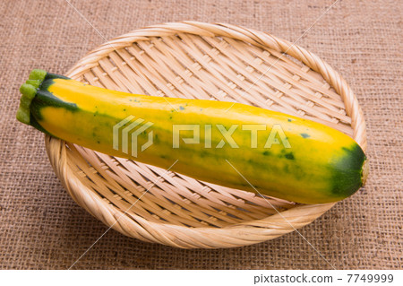夏南瓜 夏南瓜 7749999