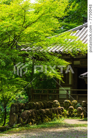 Sagano Atago菩薩寺廟Jizo和Roku雕象 7750048