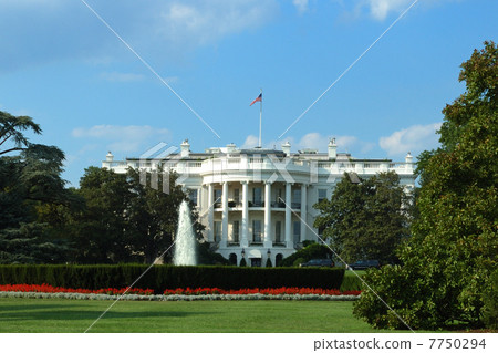 White House 7750294