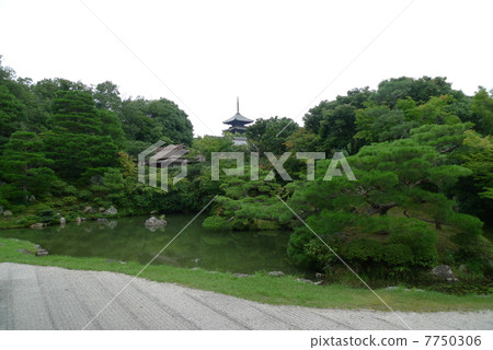Ninnaji Temple 7750306