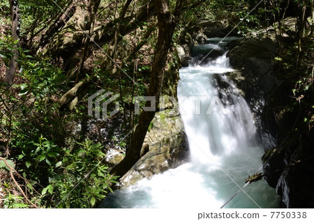 Izu · Kawazu One of the Fall Falls · Shrimp Falls (Ebidaru) 7750338
