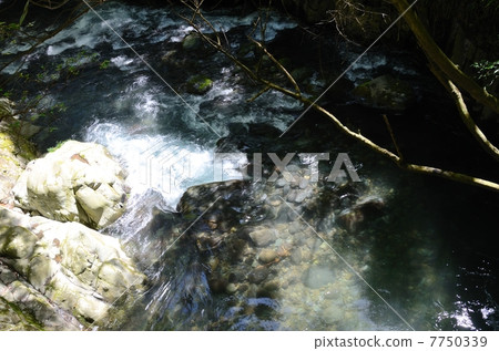 Izu · Kawazu One of the Falls of the Fall · Shrimp Falls (Ebidaru) Downstream 7750339