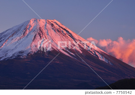 Yuzu Fuji of Lake Motosu 7750542