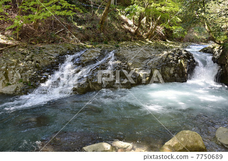 Izu · Kawazu One of the Falls · Kani Falls (Kakunidori) 7750689