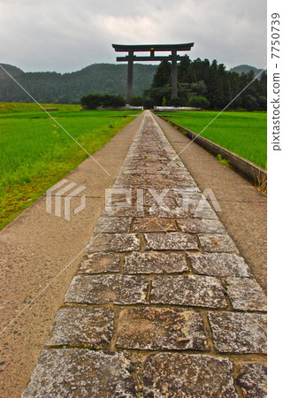 大野原Otorii(Kumano Honkya神社/和歌山縣田邊主神社) 大野原Otorii(Kumano Honkya神社/和歌山縣田邊主神社) 7750739