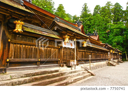 熊野主神社(田邊市本町/和歌山縣)的主要的神社 熊野主神社(田邊市本町/和歌山縣)的主要的神社 7750741
