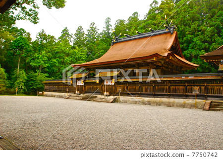Main shrine of Kumano main shrine (Tanabe City Honmu / Wakayama prefecture) Main shrine of Kumano main shrine (Tanabe City Honmu / Wakayama prefecture) 7750742
