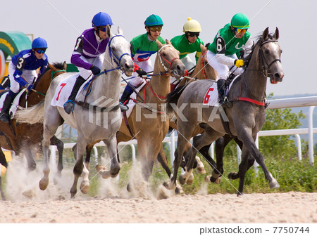Horse racing Horse racing 7750744