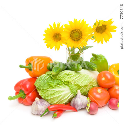 sunflower flowers and vegetables on a white background 7750848