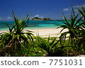 A beach on a remote island, Tokashiki 7751031
