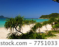 The beach on Amami Oshima 7751033