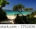 Nature of Amami Oshima 7751036
