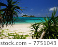 Aharen beach and Adan tree 7751043