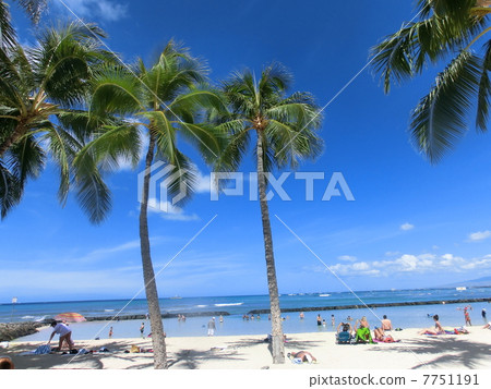 Waikiki Beach 7751191
