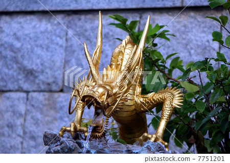 金龍嘴金蓮花Fukudoji 7751201