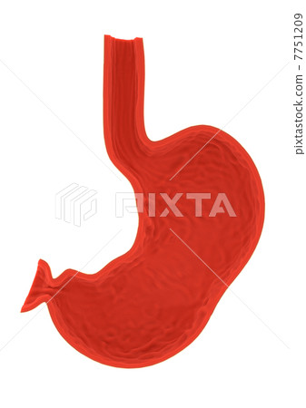 胃部分3D白色後面 7751209