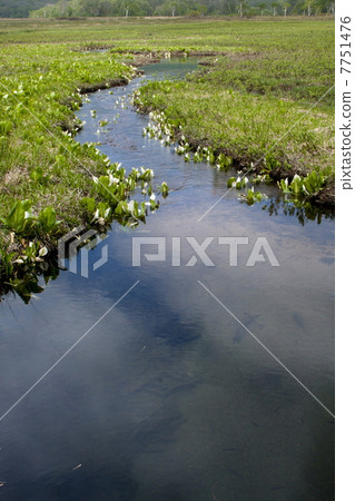 Water Basho Water Basho 7751476