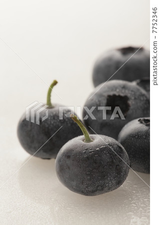 藍莓 藍莓 7752346
