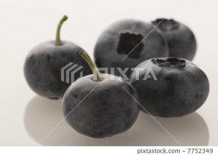 藍莓 7752349