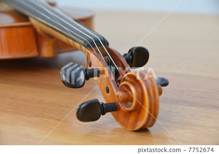 Violin Violin 7752674