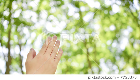 A woman praying 7753373