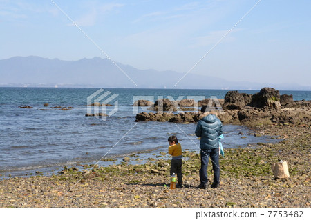 父母和孩子一起玩在鹿兒島海 7753482