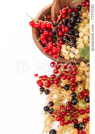 currants different colors - red, black, white 7753582
