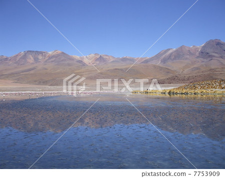 Going to Alti Plano Going to Alti Plano 7753909