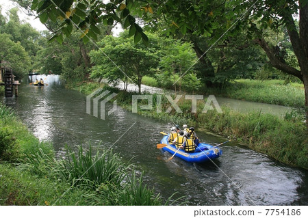 Daio Wasabi Farm Daio Wasabi Farm 7754186
