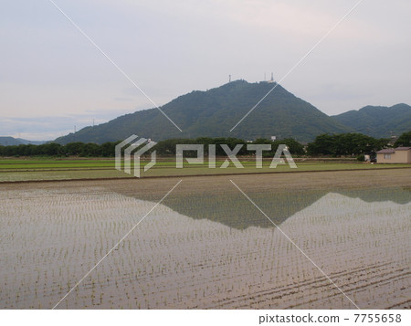 Kojima Fuji（Tsuneyama）反映在Inada打水 7755658