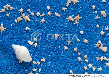 Star sand and white seashell 7757429